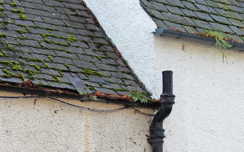 Traditional Building Health Check service